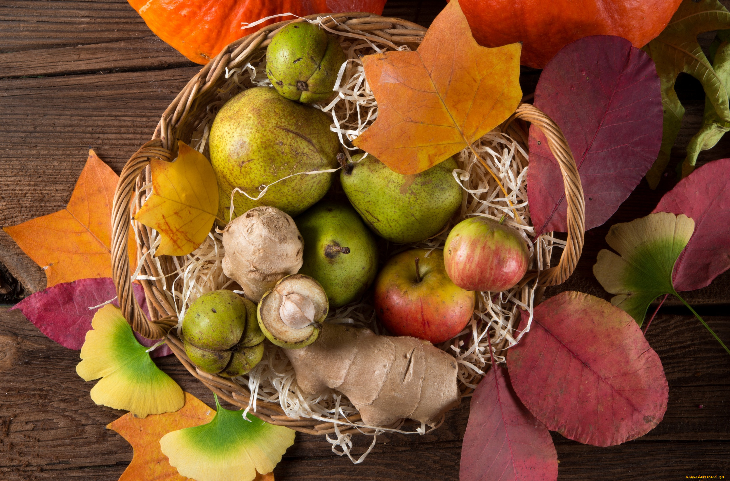 Фрукты ноябрь. Осенние фрукты. Корзинка с дарами осени. Осенние дары природы. Осенние овощи и фрукты.